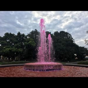 Meet your Posher, Lisette